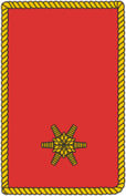 Abzeichen