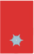 Abzeichen