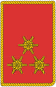 Abzeichen