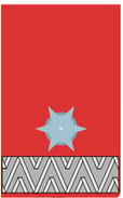 Abzeichen