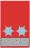 Abzeichen